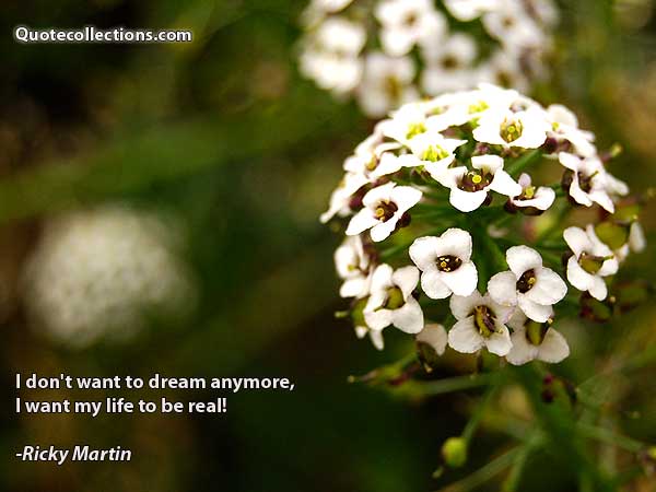 Ricky Martin Quotes3