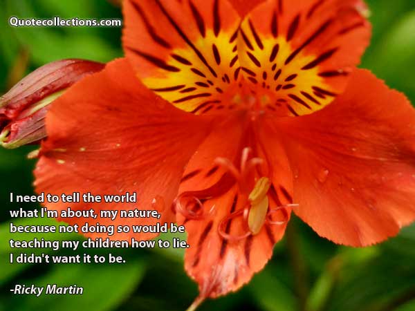 Ricky Martin Quotes4