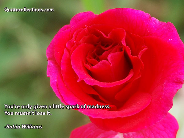 Robin Williams quotes2