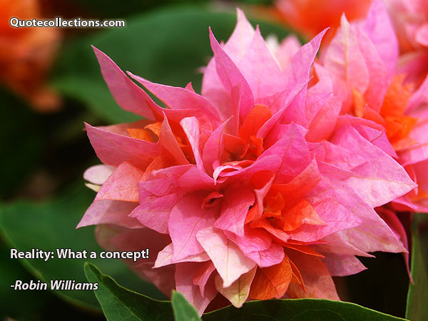 Robin Williams quotes9