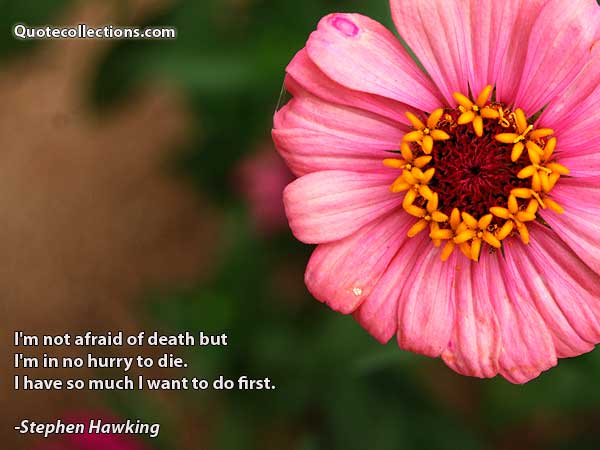 Stephen Hawking Quotes4