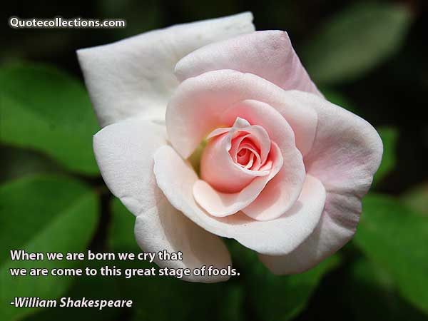 William Shakespeare Quotes2