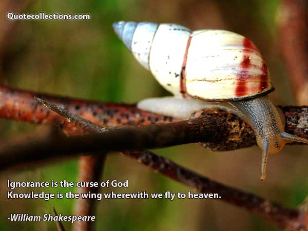 William Shakespeare Quotes4